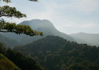 Panama Rundreise Blick auf Regenwald