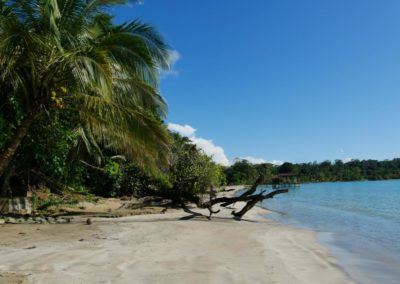 Panama Bocas del Toro Naturamerica Reisen